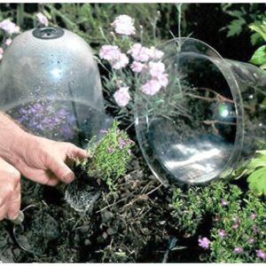 Alternative view of 10pcs/set 10" GrowAway Reusable Plastic Greenhouse