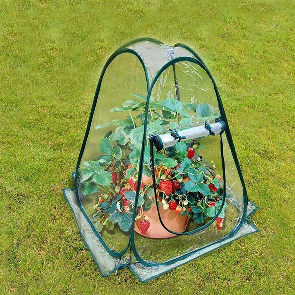 Mini Portable Plastic Greenhouse Clear Cover - Image 2