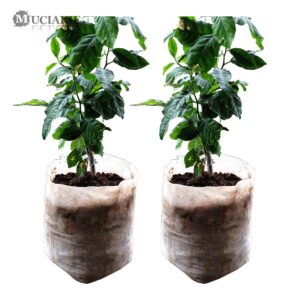 Alternative view of 100/50PCS Seedling Plants Nursery Bags Organic Biodegradable Grow Bags Fabric Eco-friendly Ventilate Growing Planting Bags